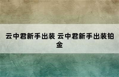 云中君新手出装 云中君新手出装铂金